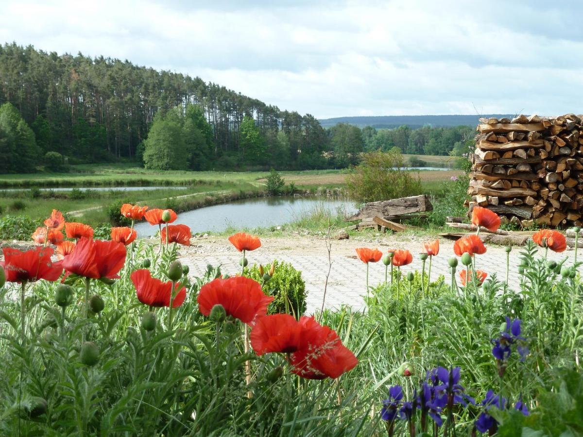 Ferienwohnungen Am Buechlhof Im Oberpfaelzer Seenland Neunburg vorm Wald Exterior foto